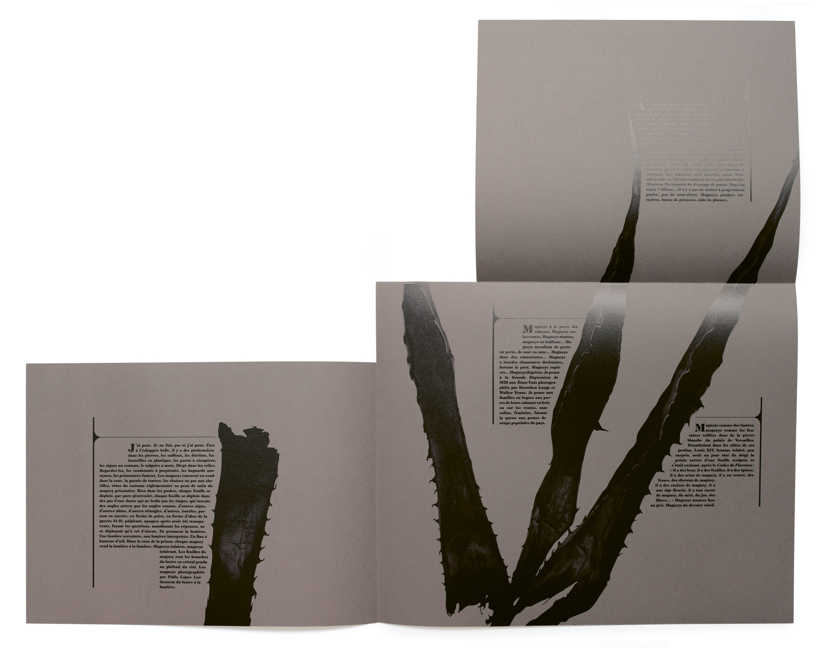 MAGUEY-2-TOLUCA-STUDIO-OLIVIER-ANDREOTTI-004.jpg