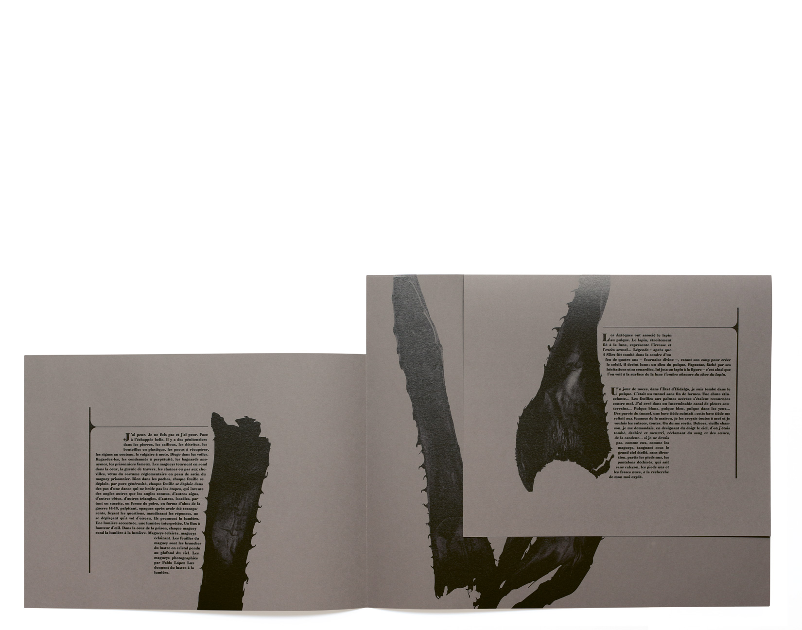 MAGUEY-2-TOLUCA-STUDIO-OLIVIER-ANDREOTTI-005.jpg