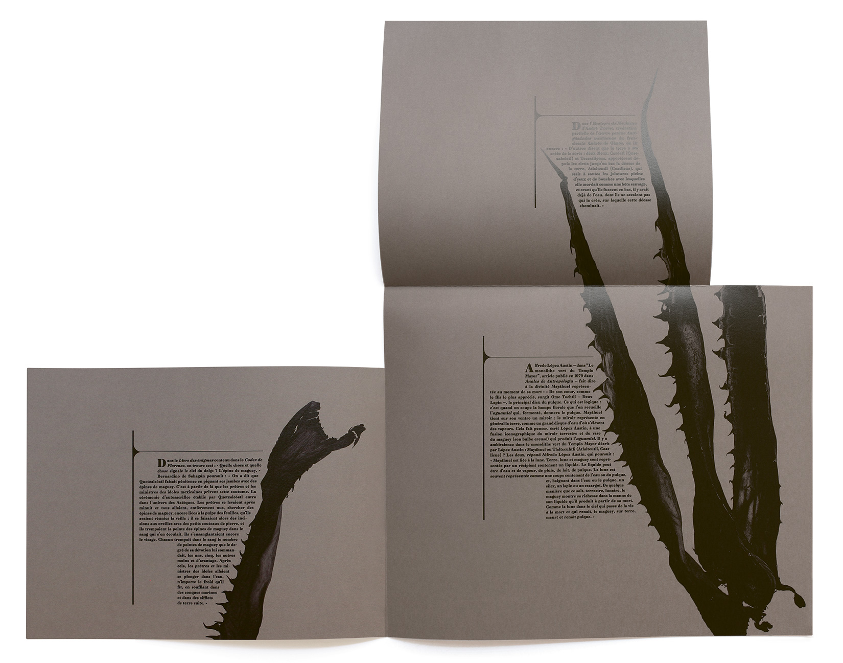 MAGUEY-TOLUCA-STUDIO-OLIVIER-ANDREOTTI-004.jpg