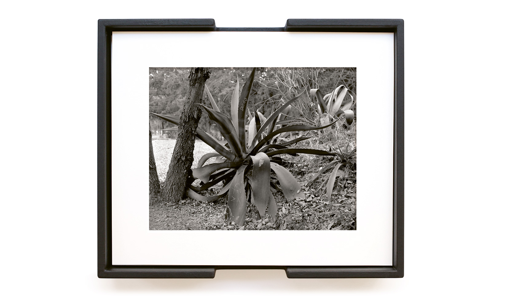 MAGUEY-TOLUCA-STUDIO-OLIVIER-ANDREOTTI-02.jpg