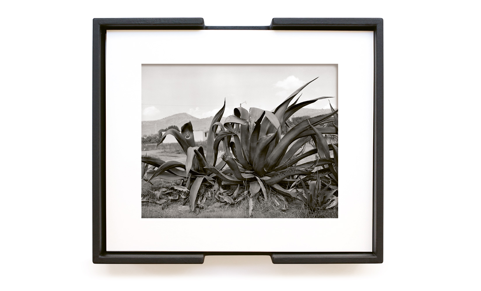 MAGUEY-TOLUCA-STUDIO-OLIVIER-ANDREOTTI-05.jpg