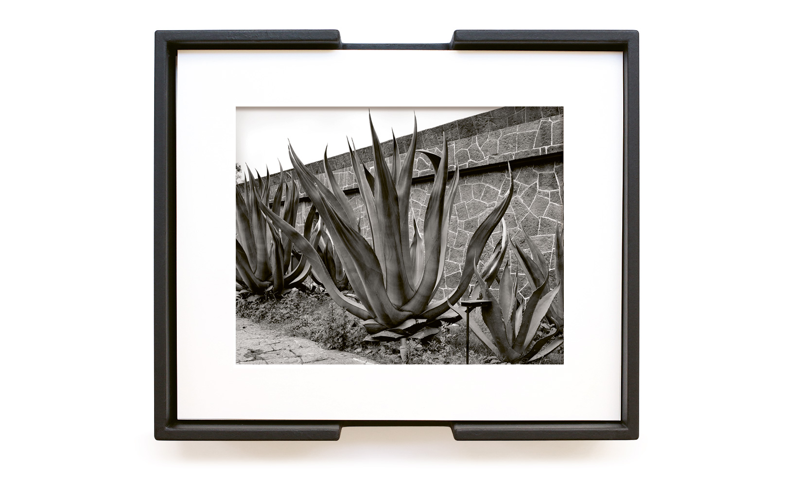 MAGUEY-TOLUCA-STUDIO-OLIVIER-ANDREOTTI-06.jpg
