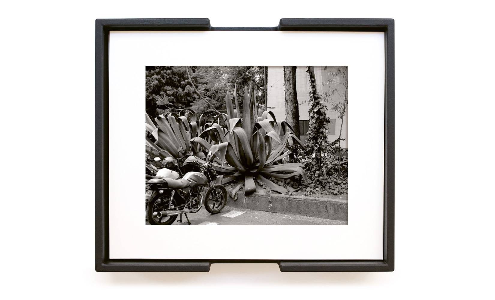 MAGUEY-TOLUCA-STUDIO-OLIVIER-ANDREOTTI-07.jpg