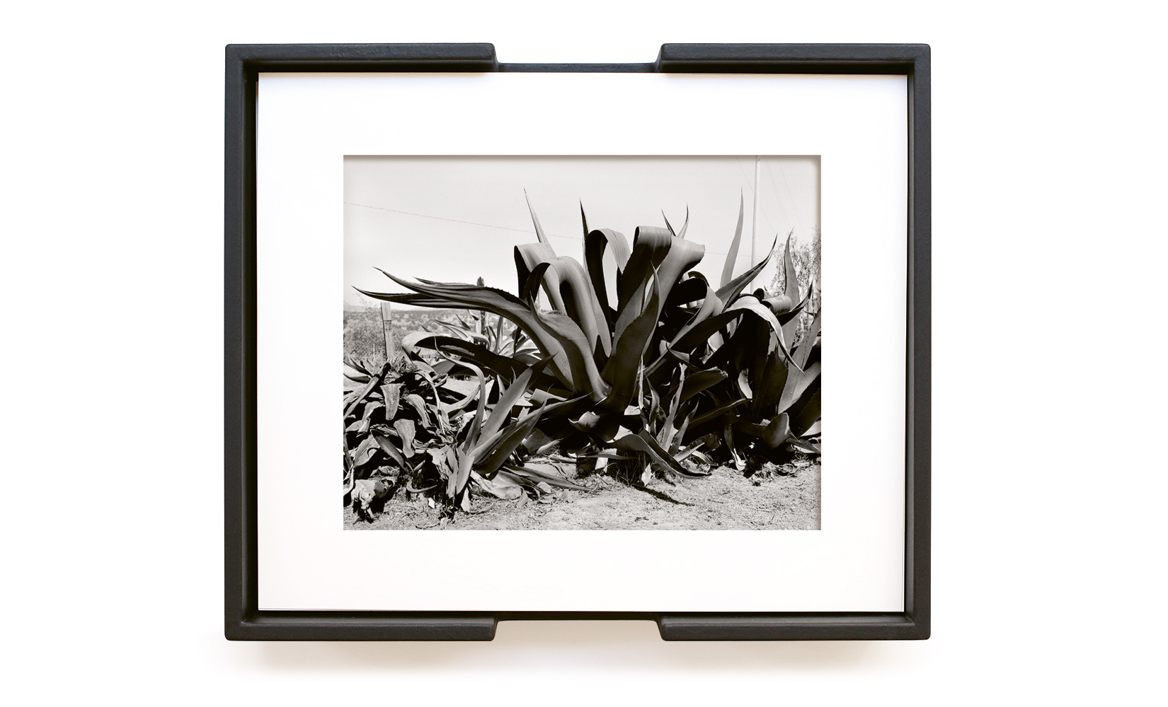 MAGUEY-TOLUCA-STUDIO-OLIVIER-ANDREOTTI-08.jpg