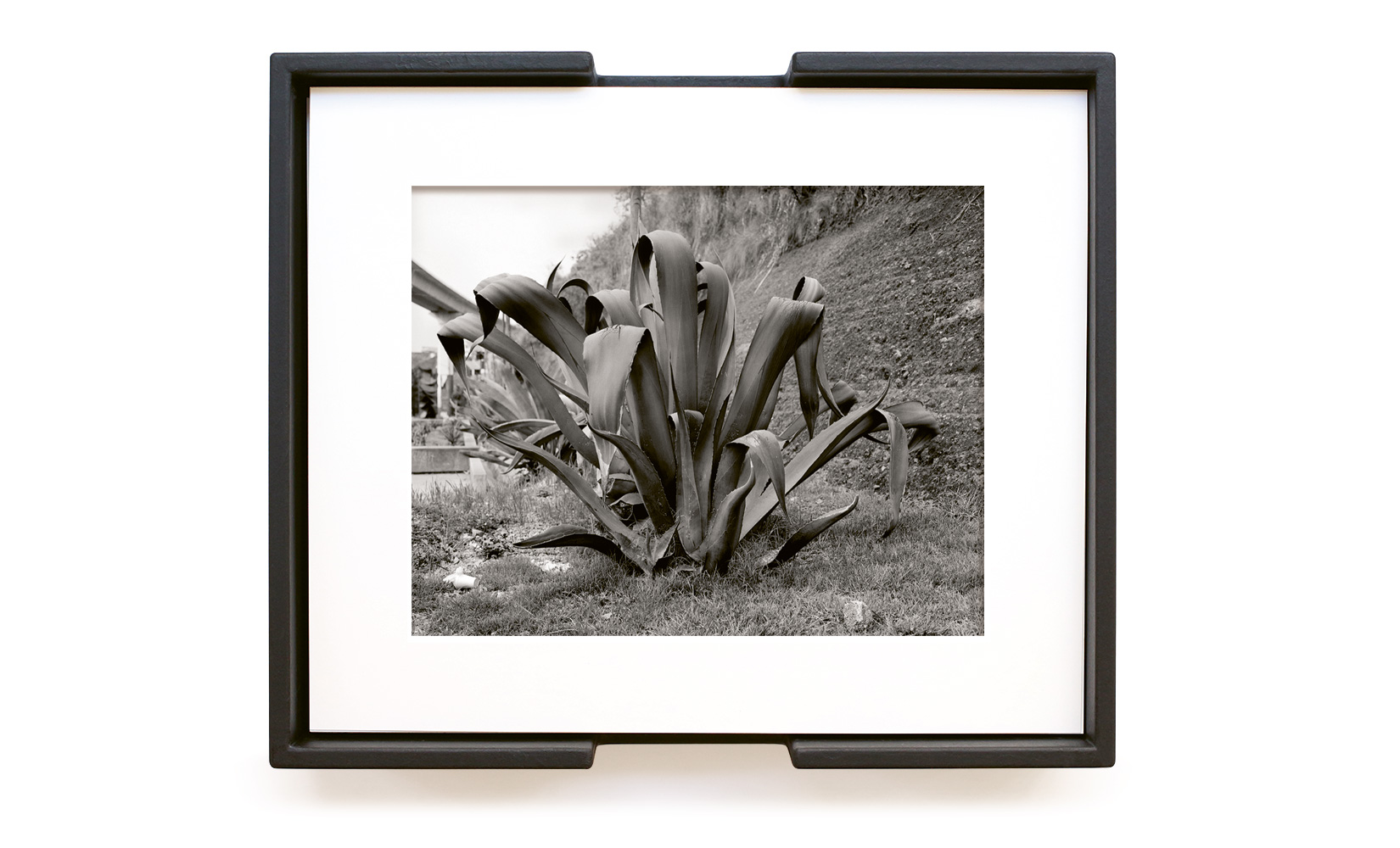 MAGUEY-TOLUCA-STUDIO-OLIVIER-ANDREOTTI-09.jpg