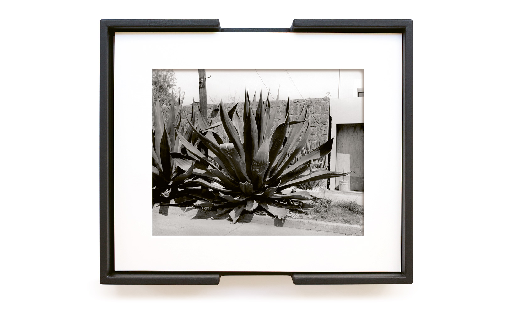 MAGUEY-TOLUCA-STUDIO-OLIVIER-ANDREOTTI-10.jpg