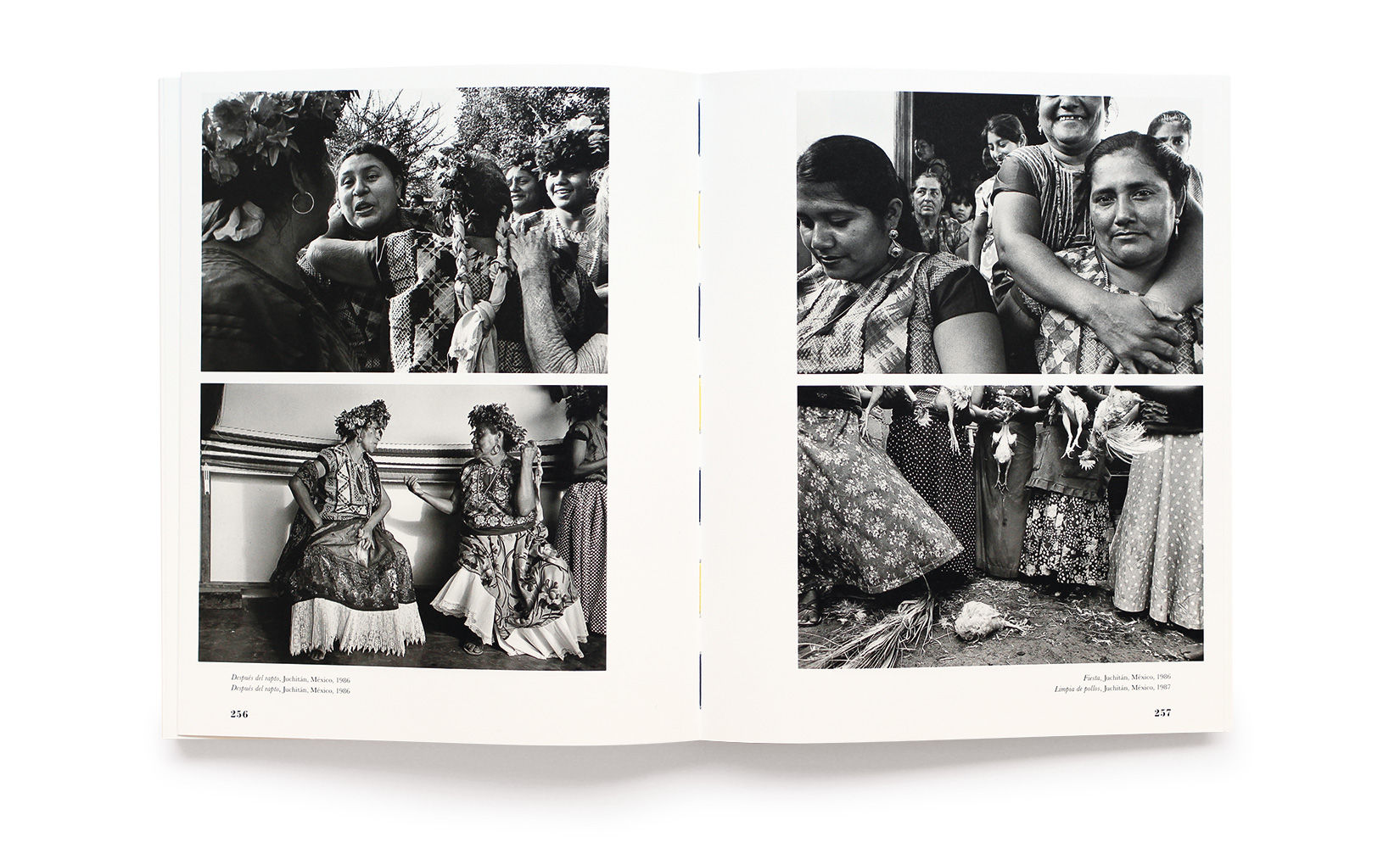 HELIOTROPO-GRACIELA-ITURBIDE-OLIVIER-ANDREOTTI-TOLUCA-STUDIO-09.jpg