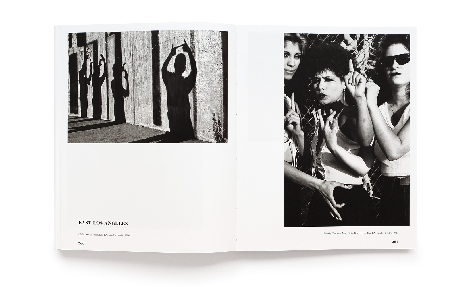 HELIOTROPO-GRACIELA-ITURBIDE-OLIVIER-ANDREOTTI-TOLUCA-STUDIO-10.jpg