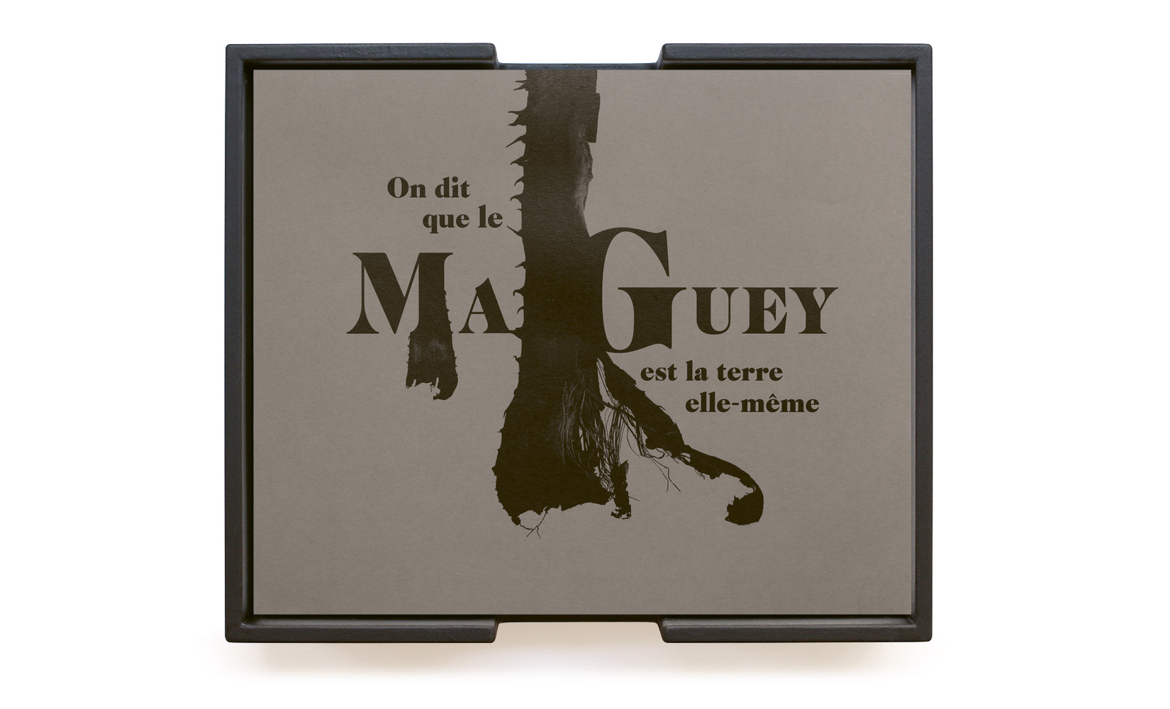 MAGUEY-TOLUCA-STUDIO-OLIVIER-ANDREOTTI-001.jpg