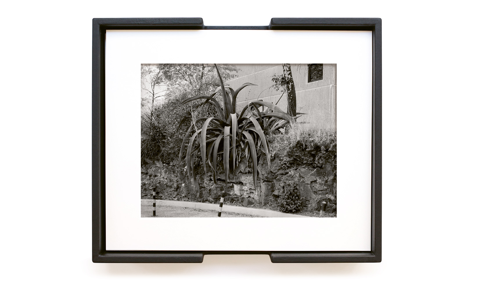 MAGUEY-TOLUCA-STUDIO-OLIVIER-ANDREOTTI-12.jpg