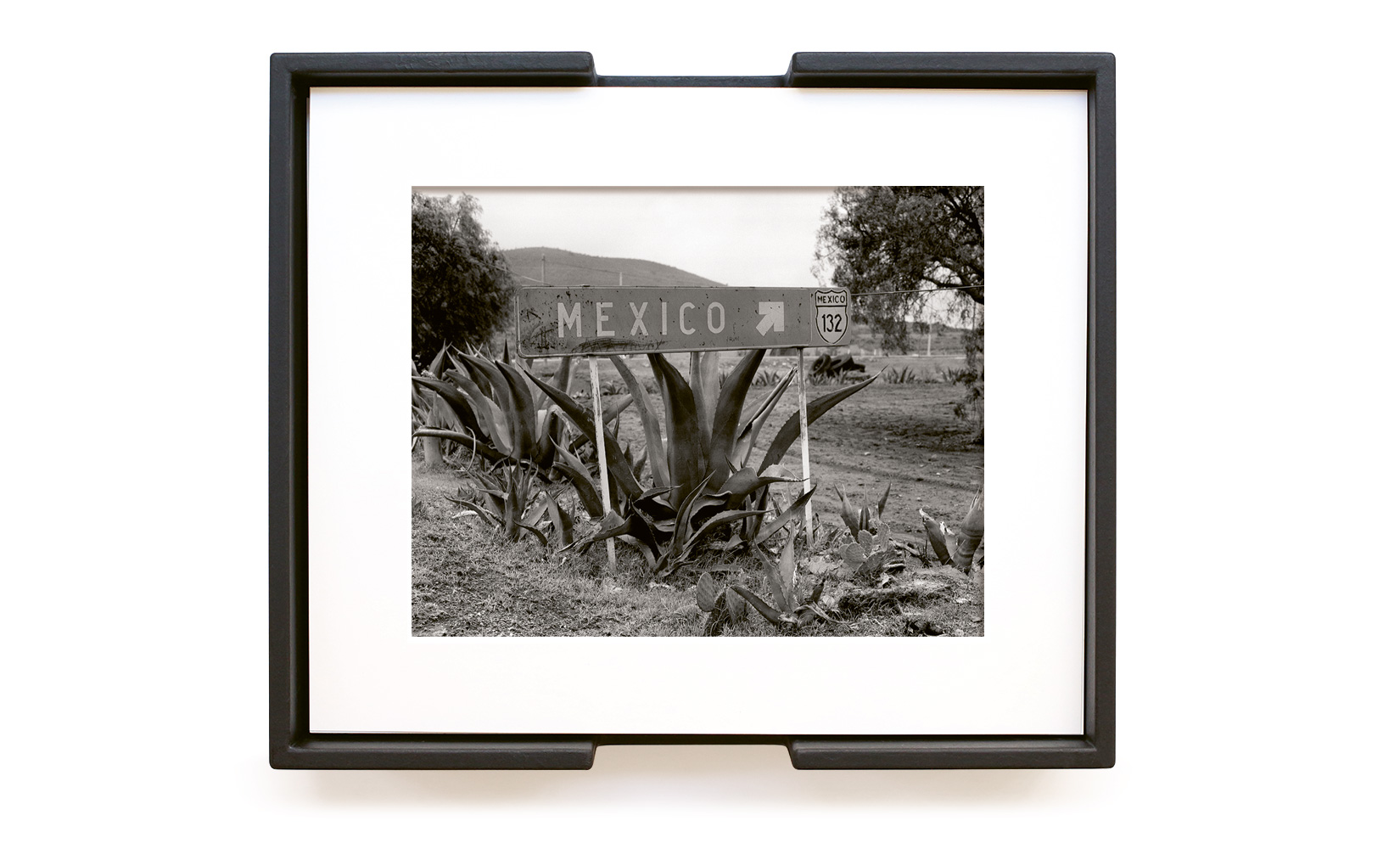 MAGUEY-TOLUCA-STUDIO-OLIVIER-ANDREOTTI-13.jpg
