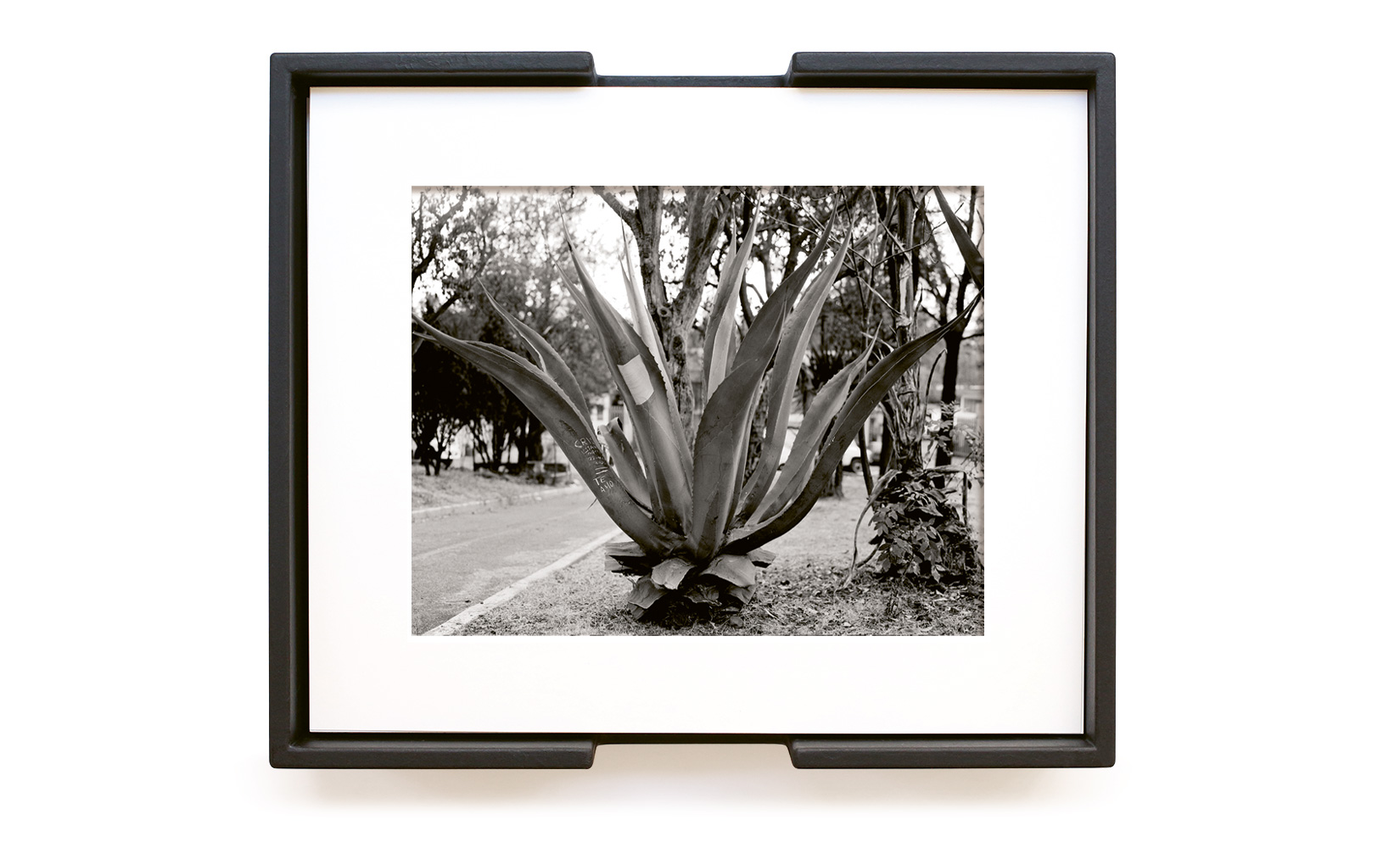 MAGUEY-TOLUCA-STUDIO-OLIVIER-ANDREOTTI-14.jpg