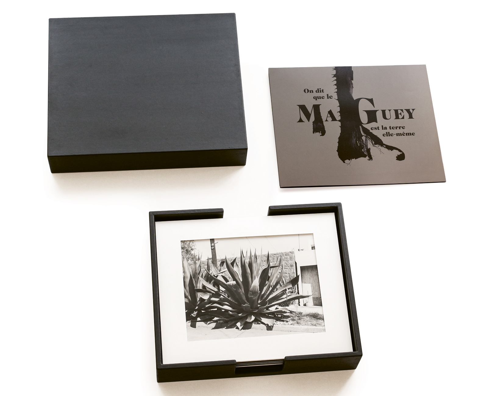 MAGUEY-TOLUCA-STUDIO-OLIVIER-ANDREOTTI-3.jpg